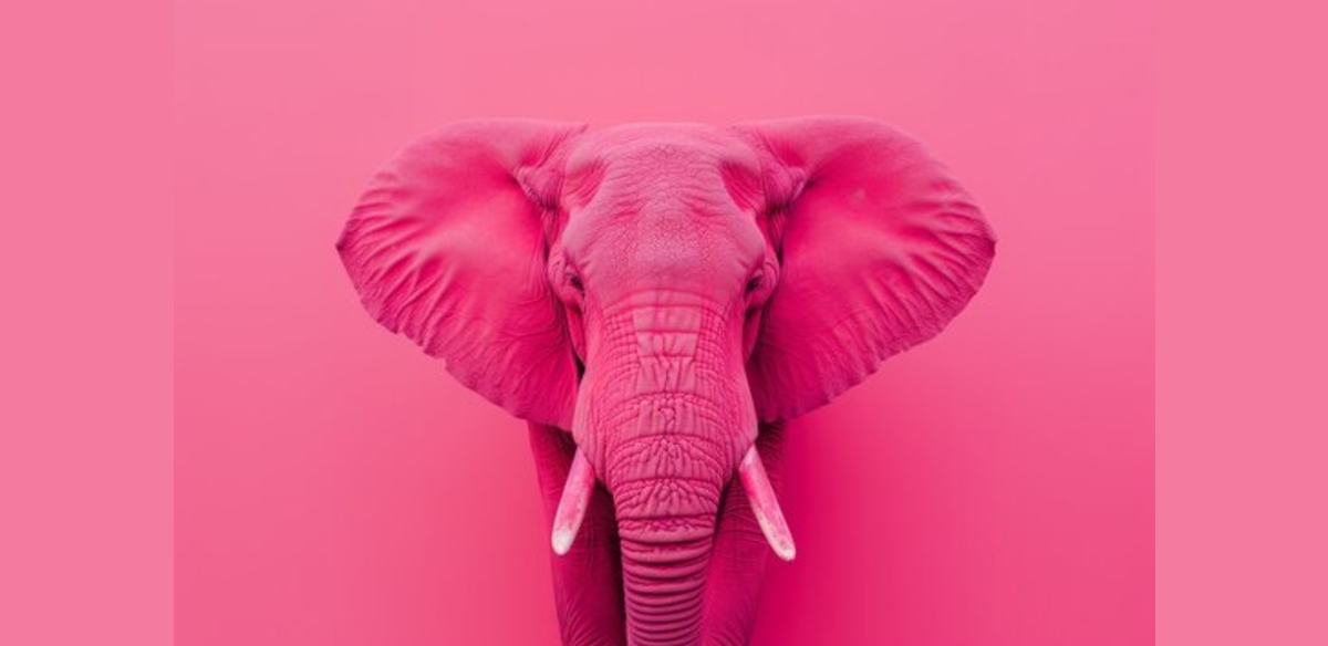 Pink Elephant