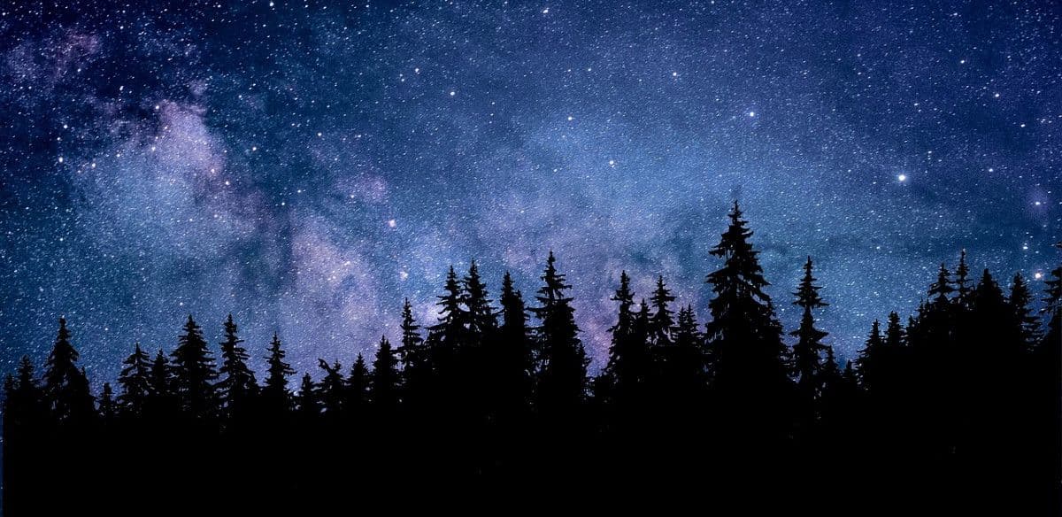 How to Build a Constellation of Stars with Customer Stakeholders?